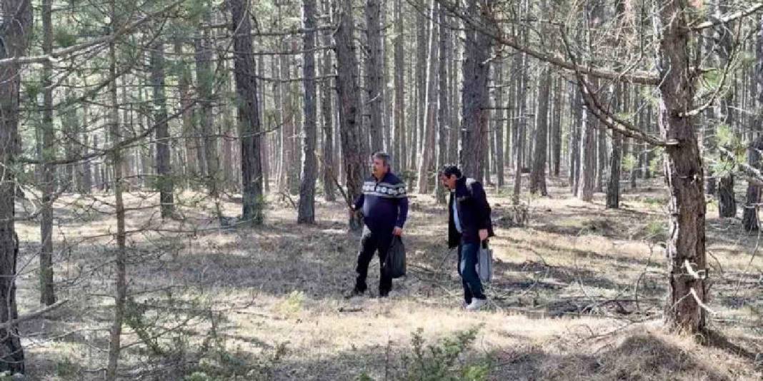 Kilosu 1.000 TL’den ormanları süslüyor: Vatandaş ormana akın ediyor 3